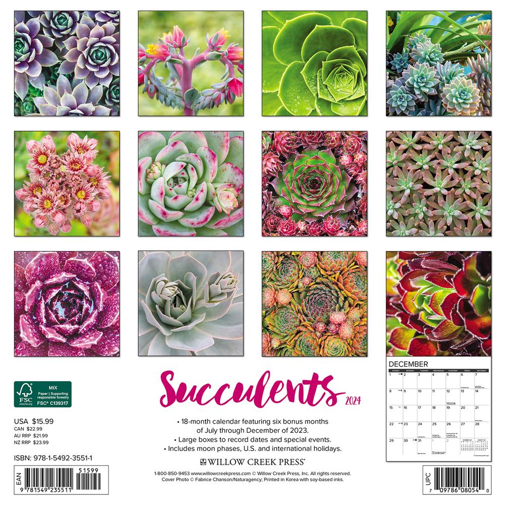 Succulents 2024 Wall Calendar - Online Exclusive