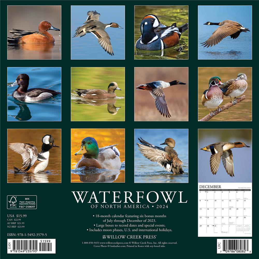 Waterfowl 2024 Wall Calendar
