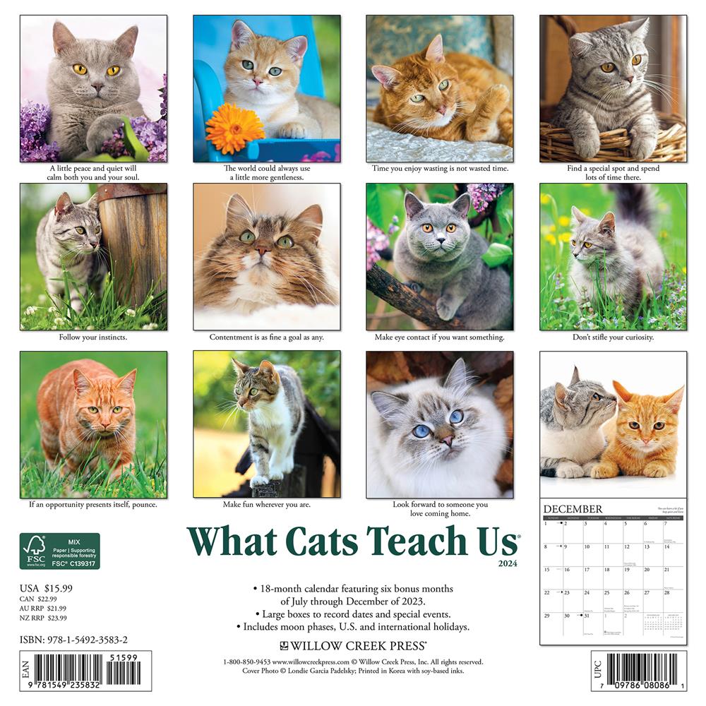 What Cats Teach Us 2024 Wall Calendar