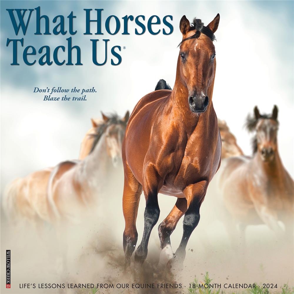 What Horses Teach Us 2024 Wall Calendar
