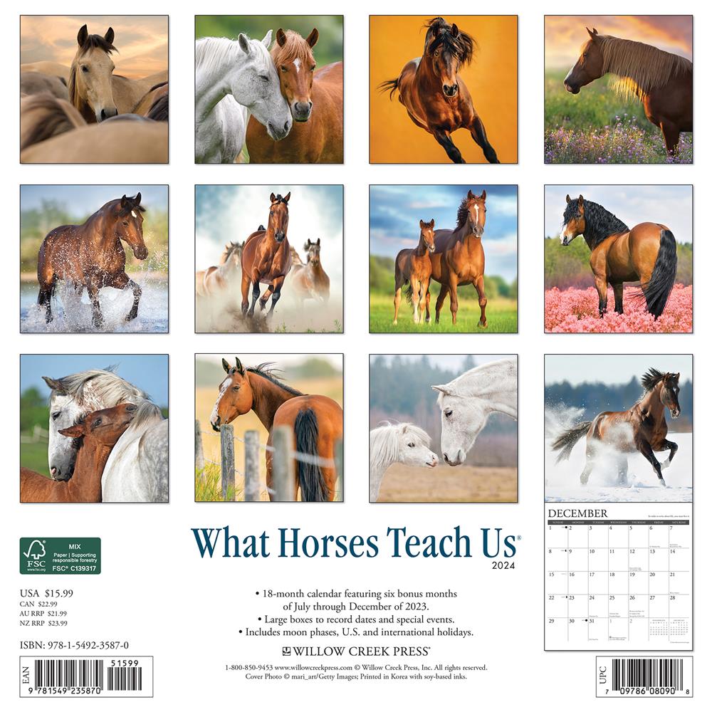 What Horses Teach Us 2024 Wall Calendar