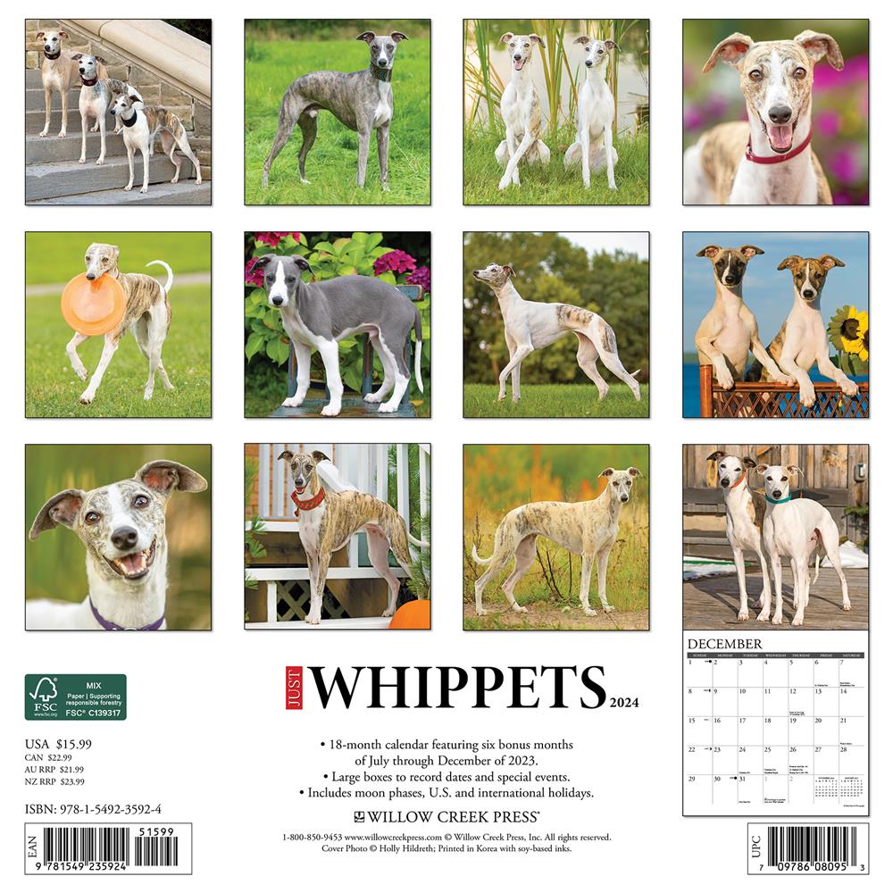 Just Whippets 2024 Wall Calendar