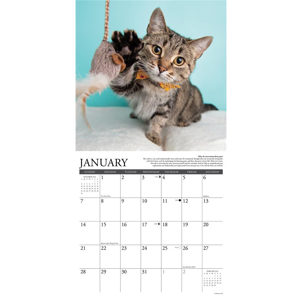 Why Cats Do That 2024 Wall Calendar