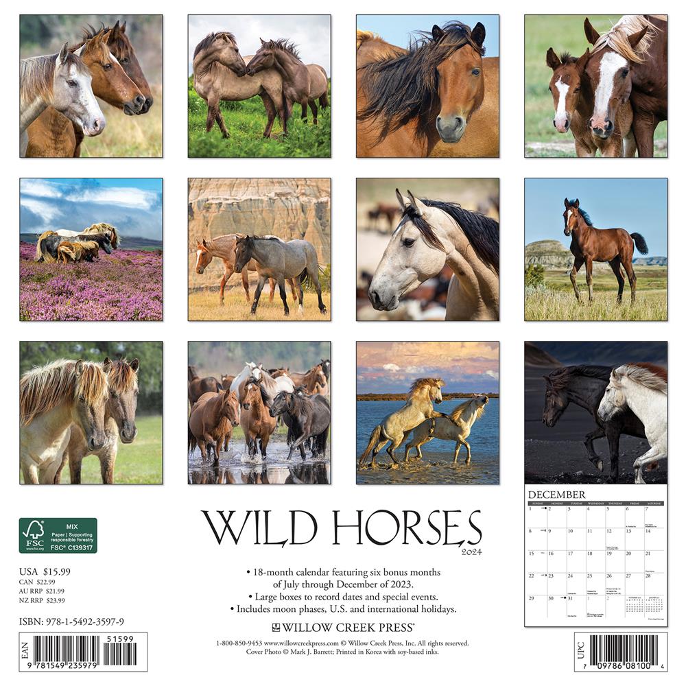 Wild Horses 2024 Wall Calendar