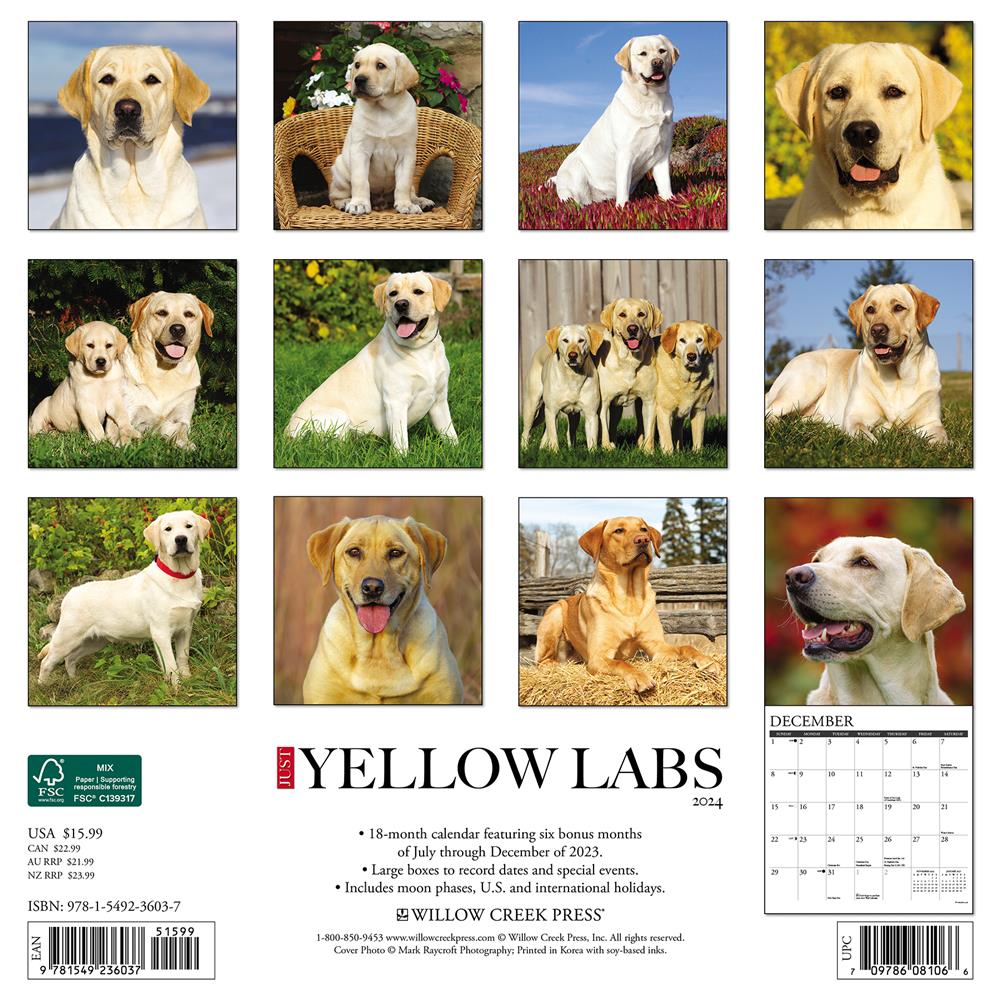 Just Labs Yellow 2024 Wall Calendar