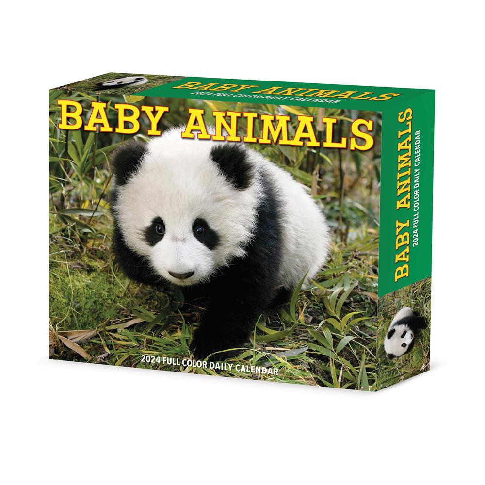 Baby Animals 2024 Box Calendar - Online Exclusive product image
