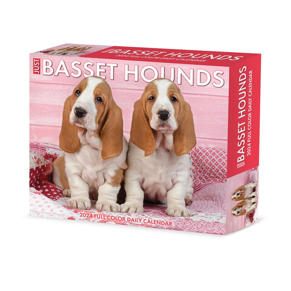 Basset Hounds  2024 Box Calendar - Online Exclusive product image