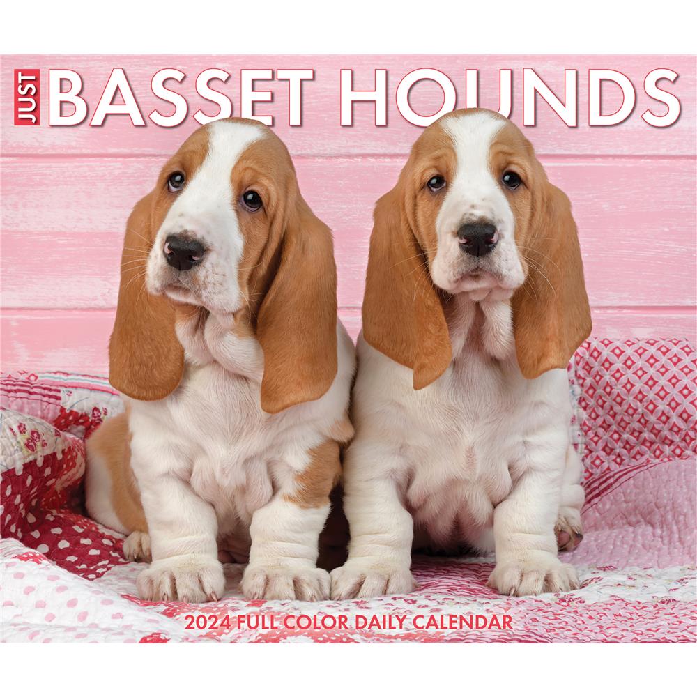 Basset Hounds  2024 Box Calendar - Online Exclusive product image