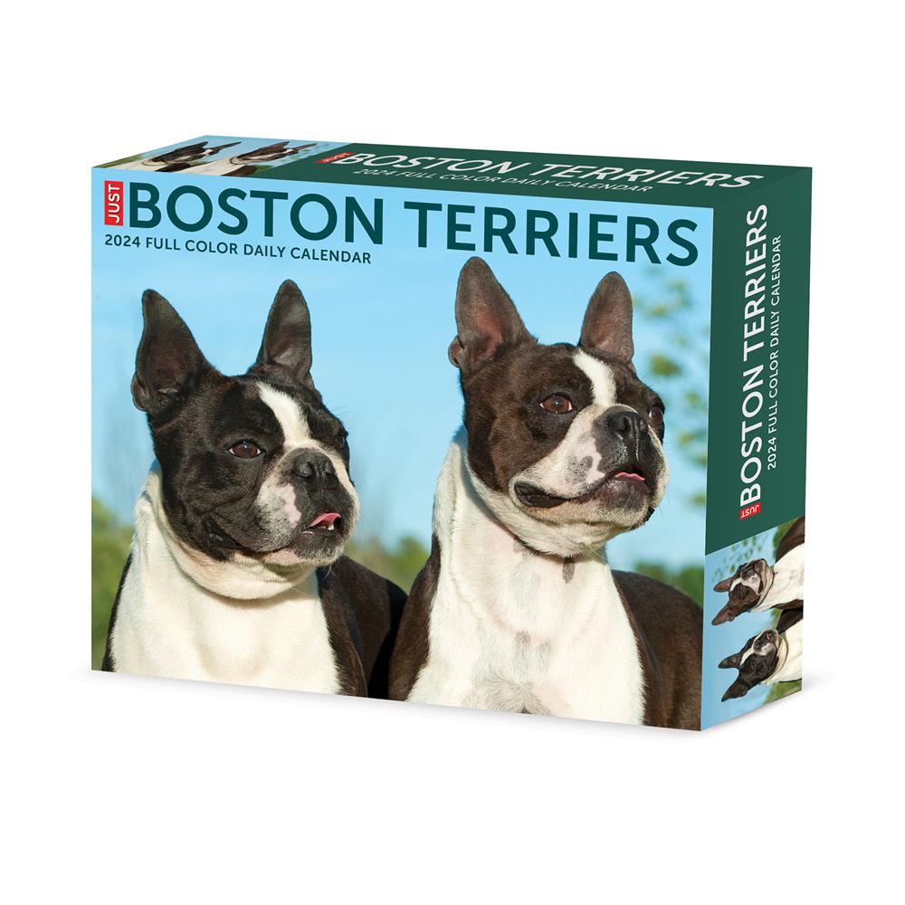 Boston Terriers 2024 Box Calendar - Online Exclusive product image