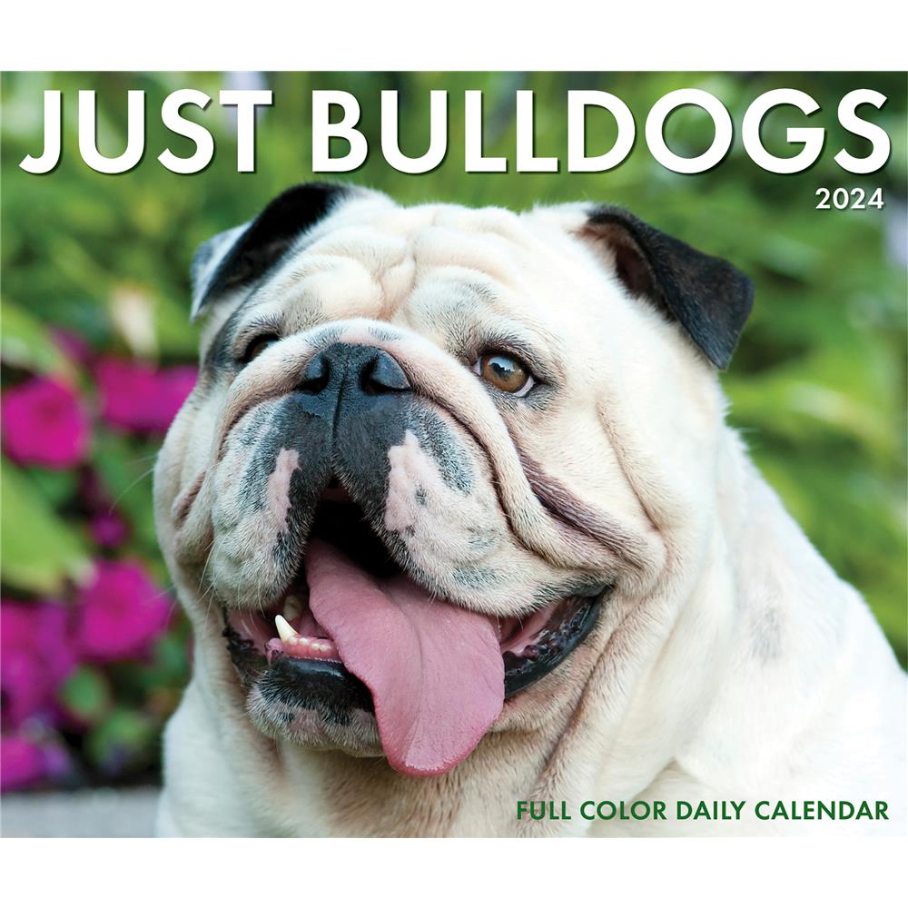 Bulldogs 2024 Box Calendar - Online Exclusive product image