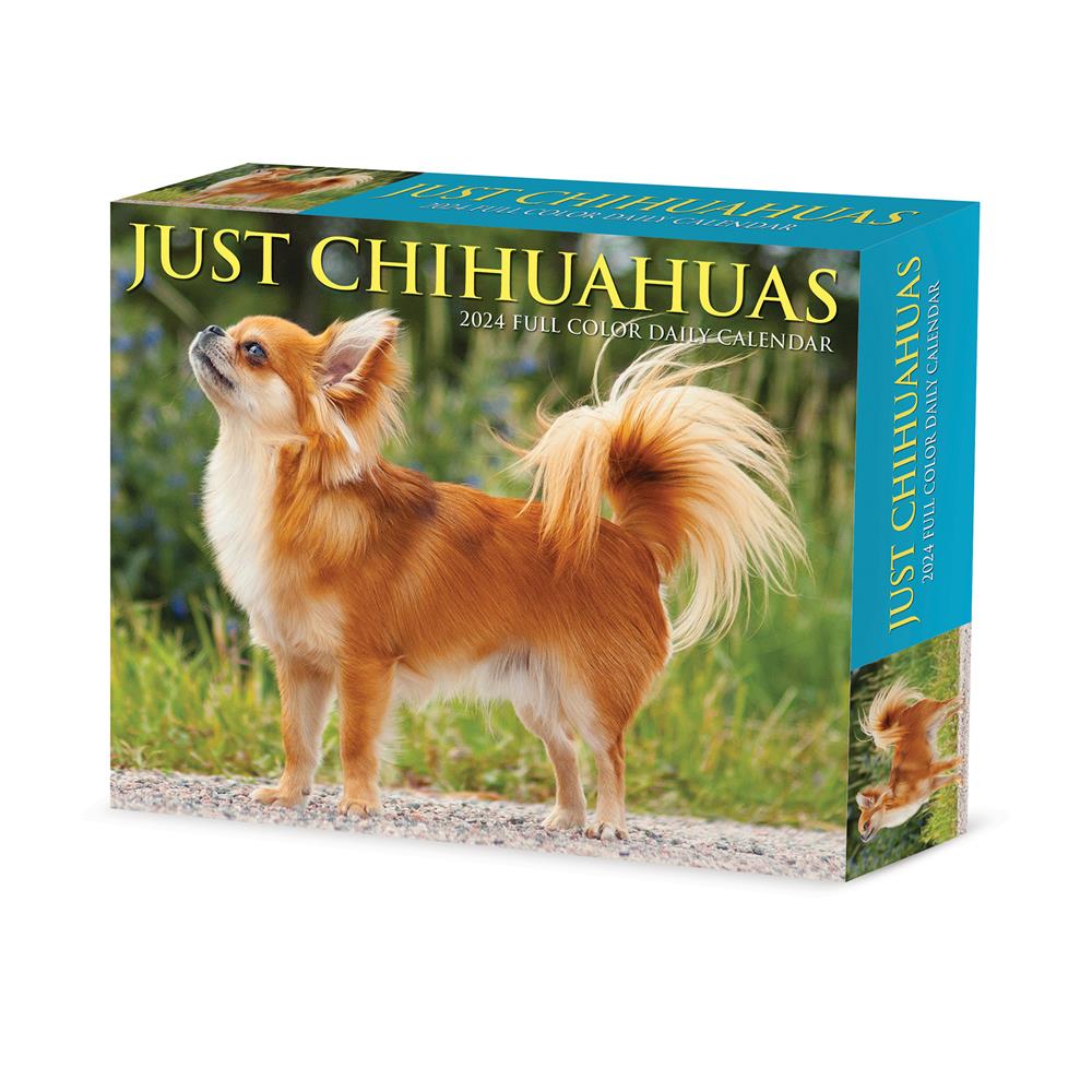 Chihuahuas 2024 Box Calendar - Online Exclusive product image