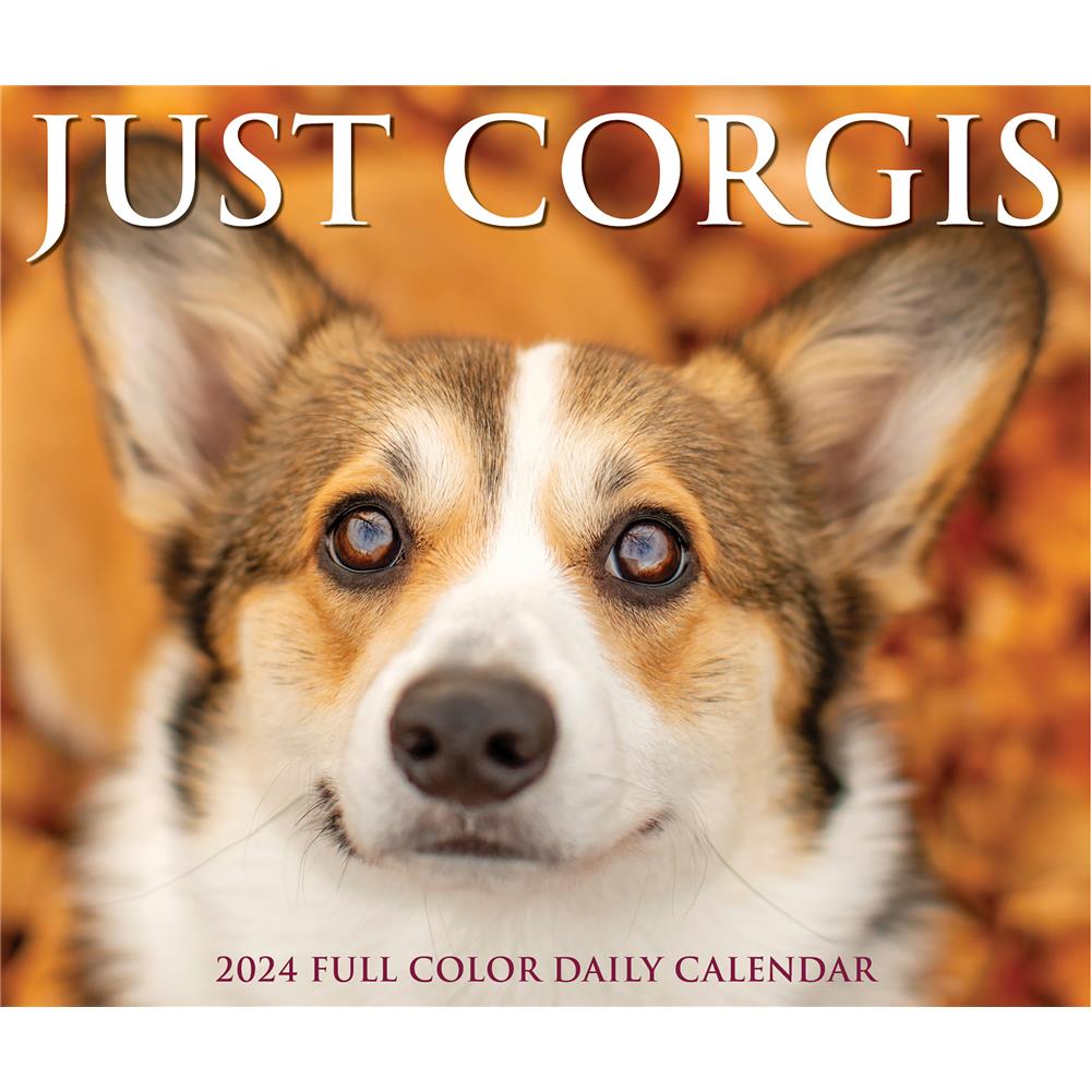 Corgis 2024 Box Calendar - Online Exclusive product image