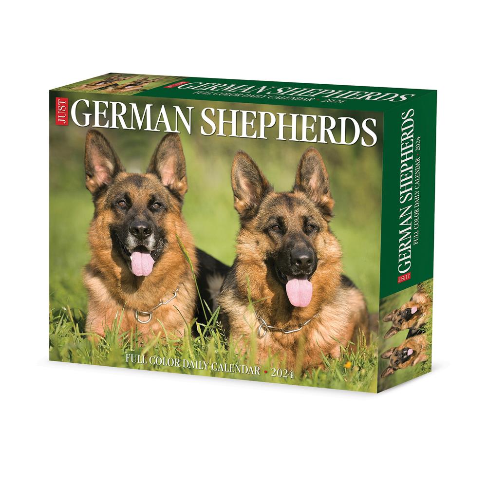 German Shepherds 2024 Box Calendar - Online Exclusive product image