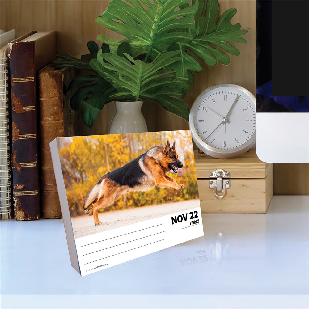 German Shepherds 2024 Box Calendar - Online Exclusive product image