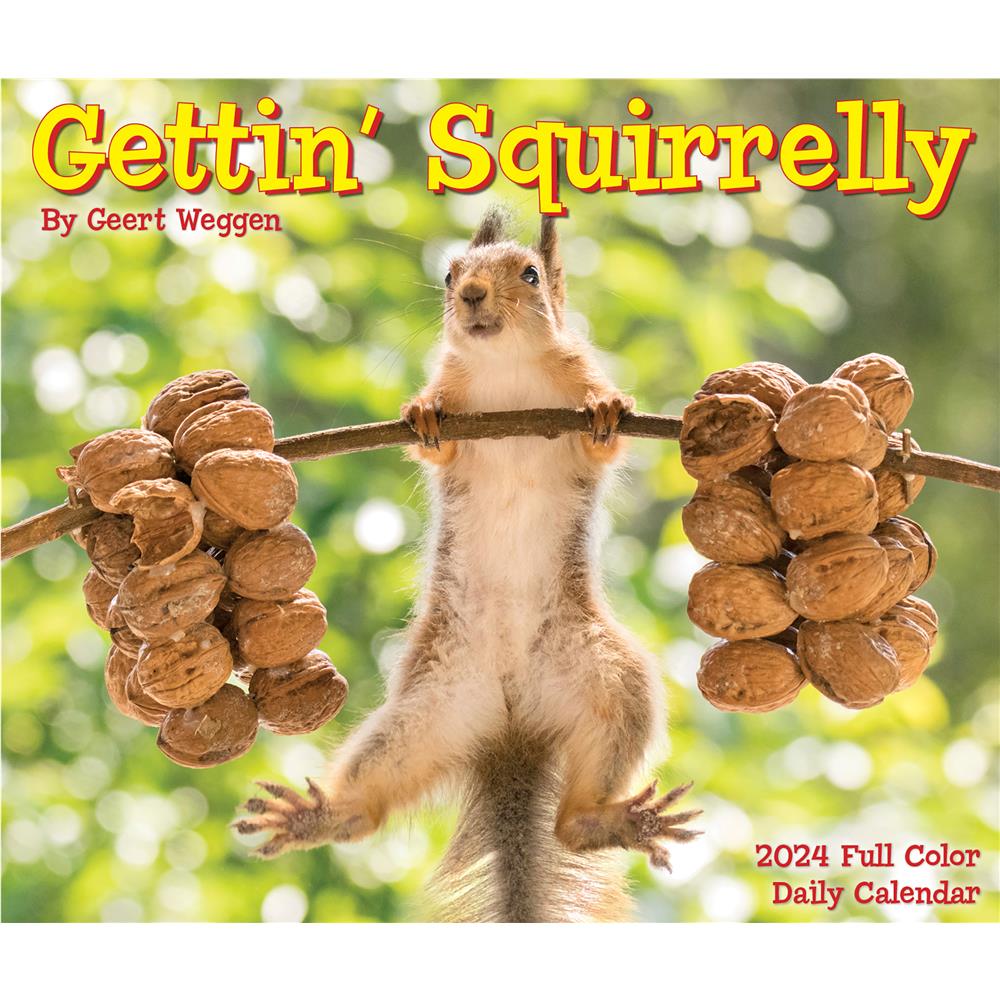 Gettin Squirrelly 2024 Box Calendar - Online Exclusive product image