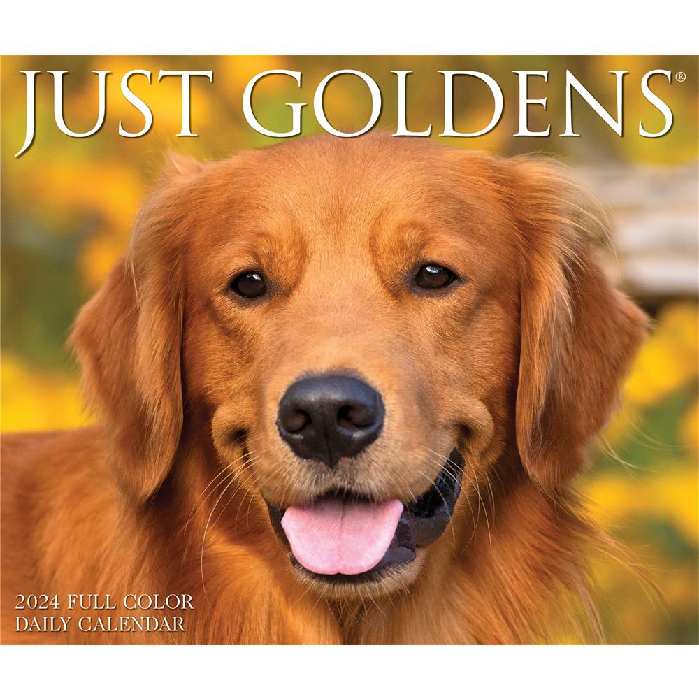 Goldens 2024 Box Calendar product image