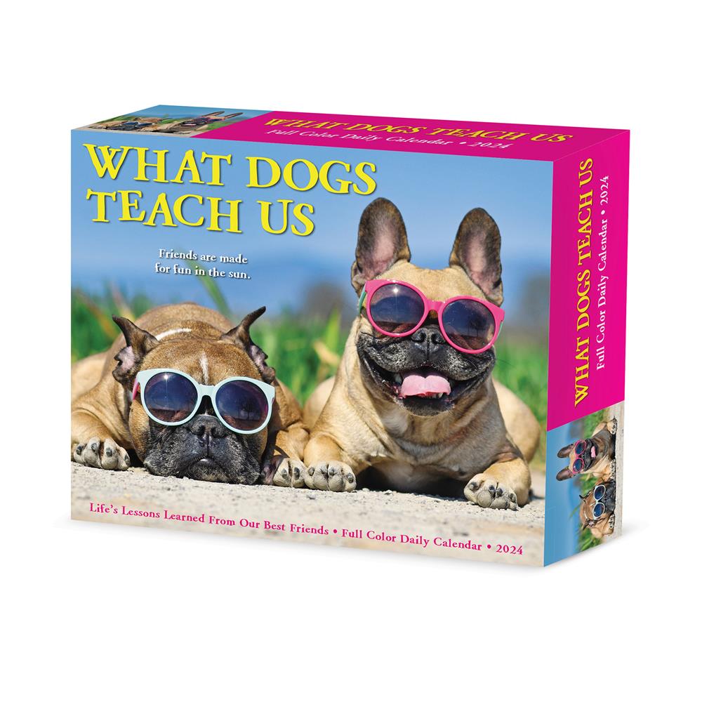 What Dogs Teach Us 2024 Box Calendar product image