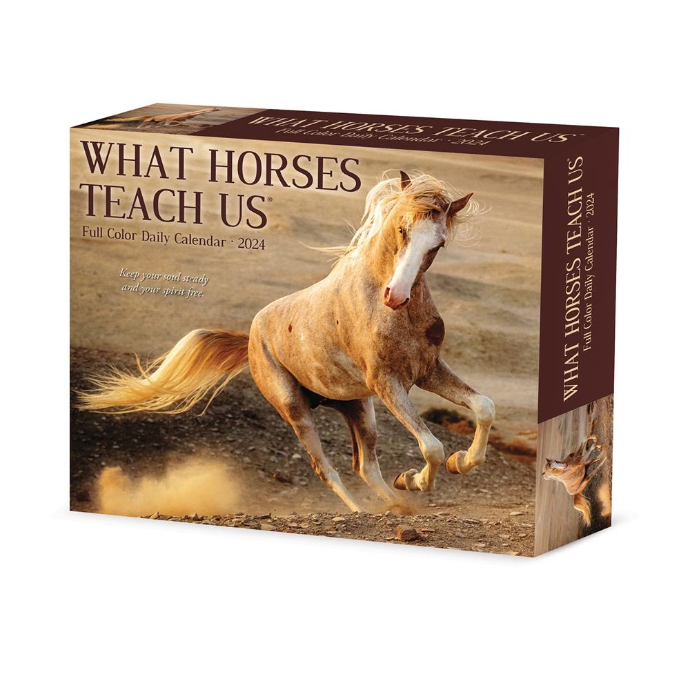 What Horses Teach Us 2024 Box Calendar product image