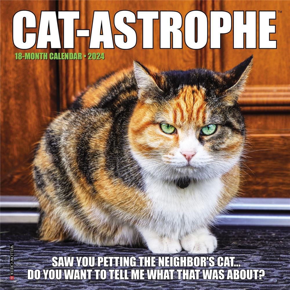 Catastrophe 2024 Mini Calendar product image