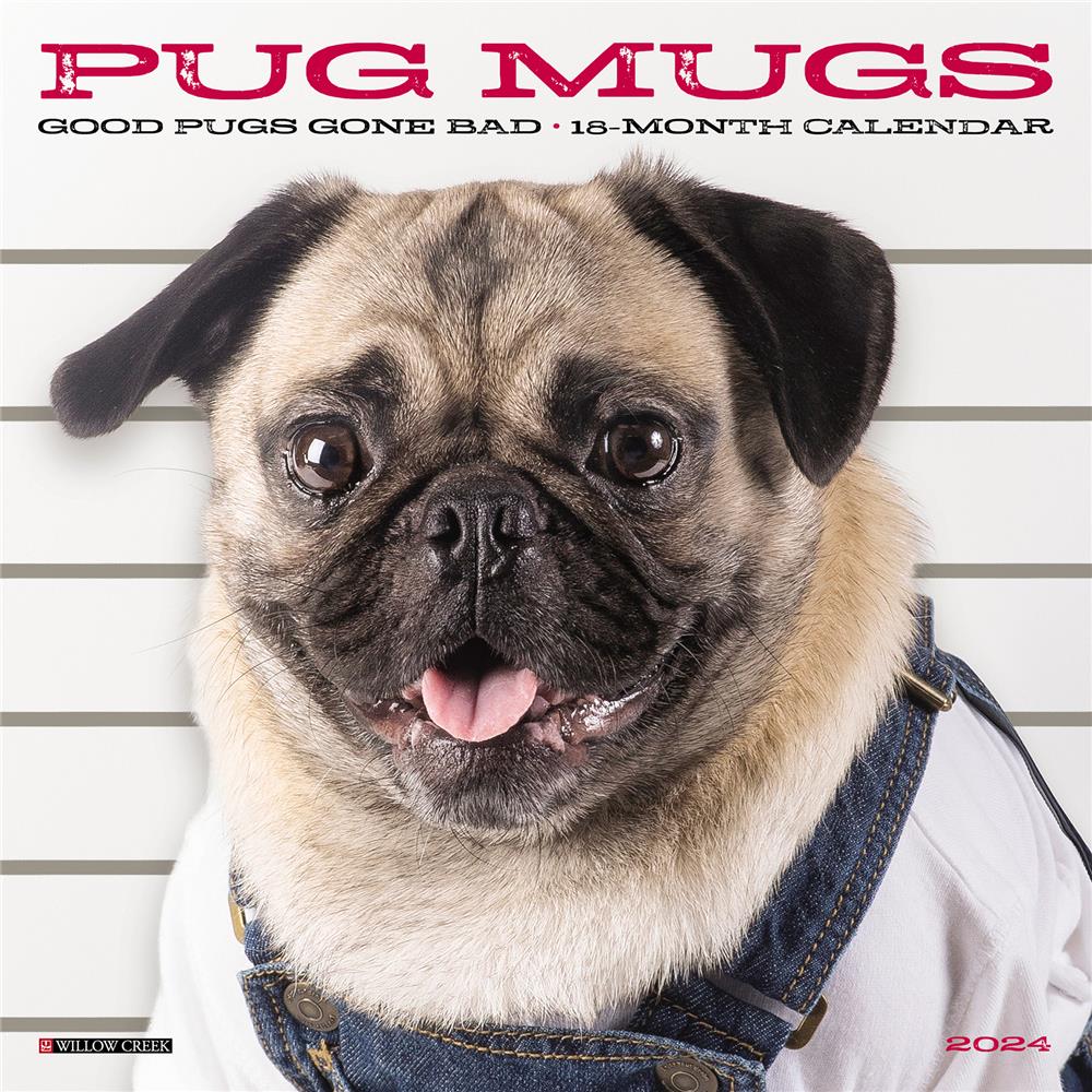 Pug Mugs 2024 Mini Calendar product image