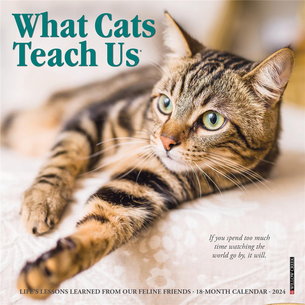 What Cats Teach Us 2024 Mini Calendar product image