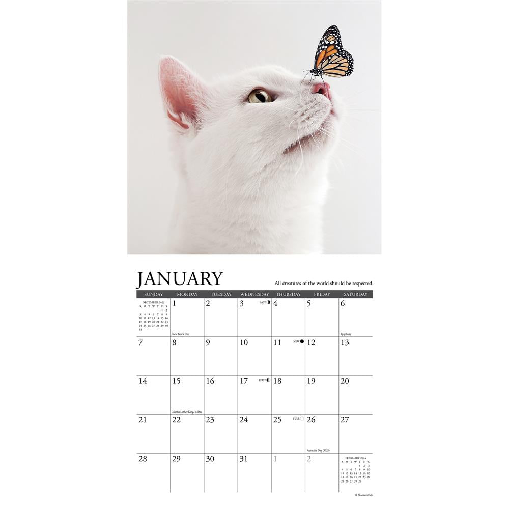What Cats Teach Us 2024 Mini Calendar product image