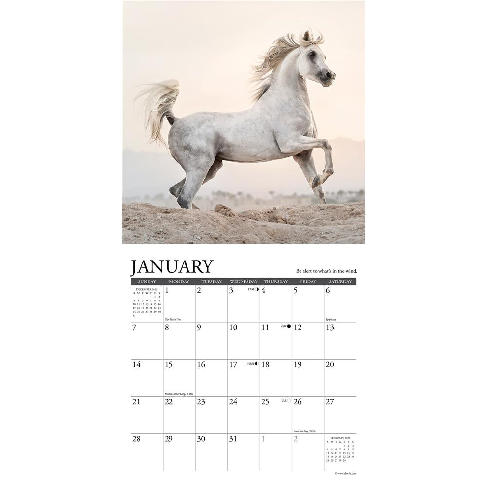 What Horses Teach Us 2024 Mini Calendar product image
