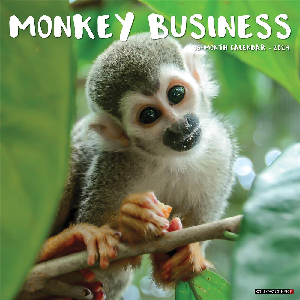 Monkey Business 2024 Wall Calendar