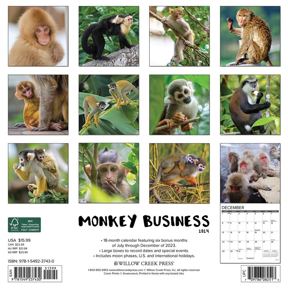 Monkey Business 2024 Wall Calendar