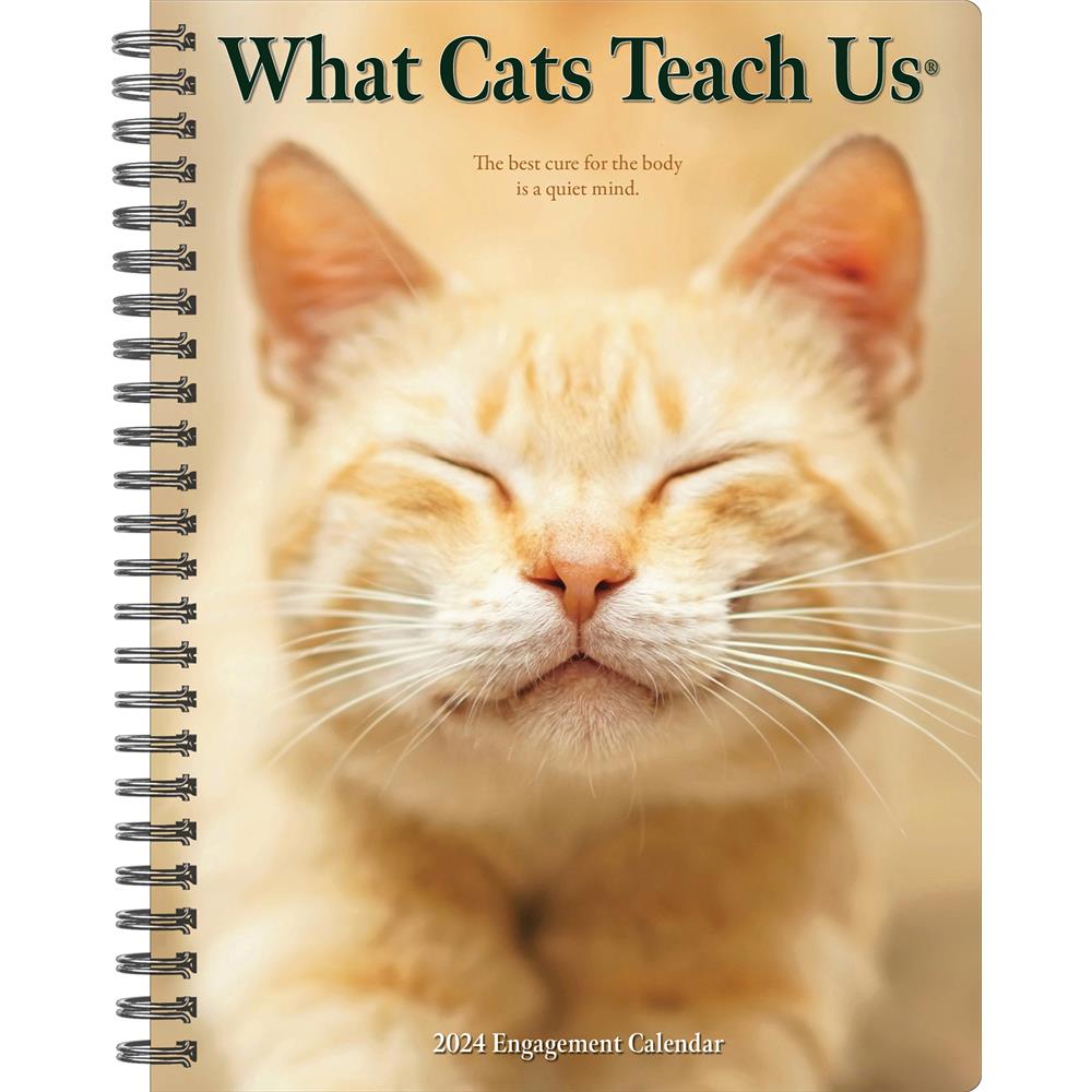 What Cats Teach Us 2024 Engagement Calendar