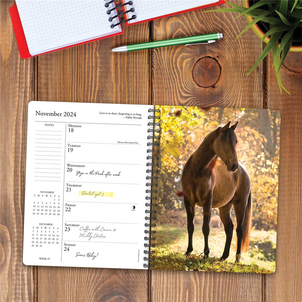 What Horses Teach Us 2024 Engagement Calendar