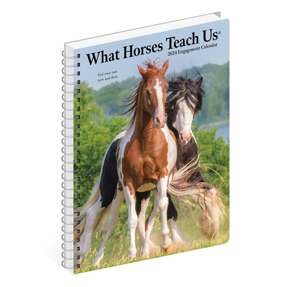 What Horses Teach Us 2024 Engagement Calendar