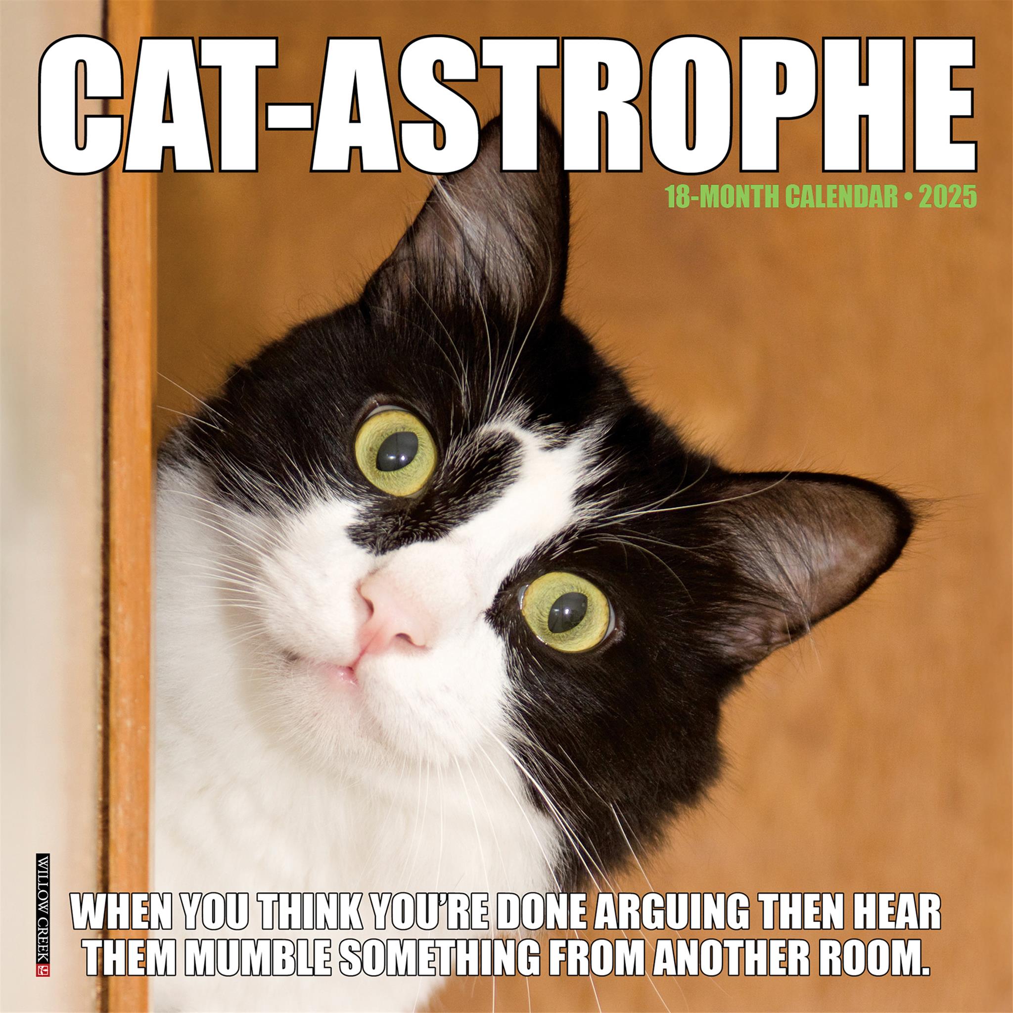 Catastrophe Mini 2025 Calendar