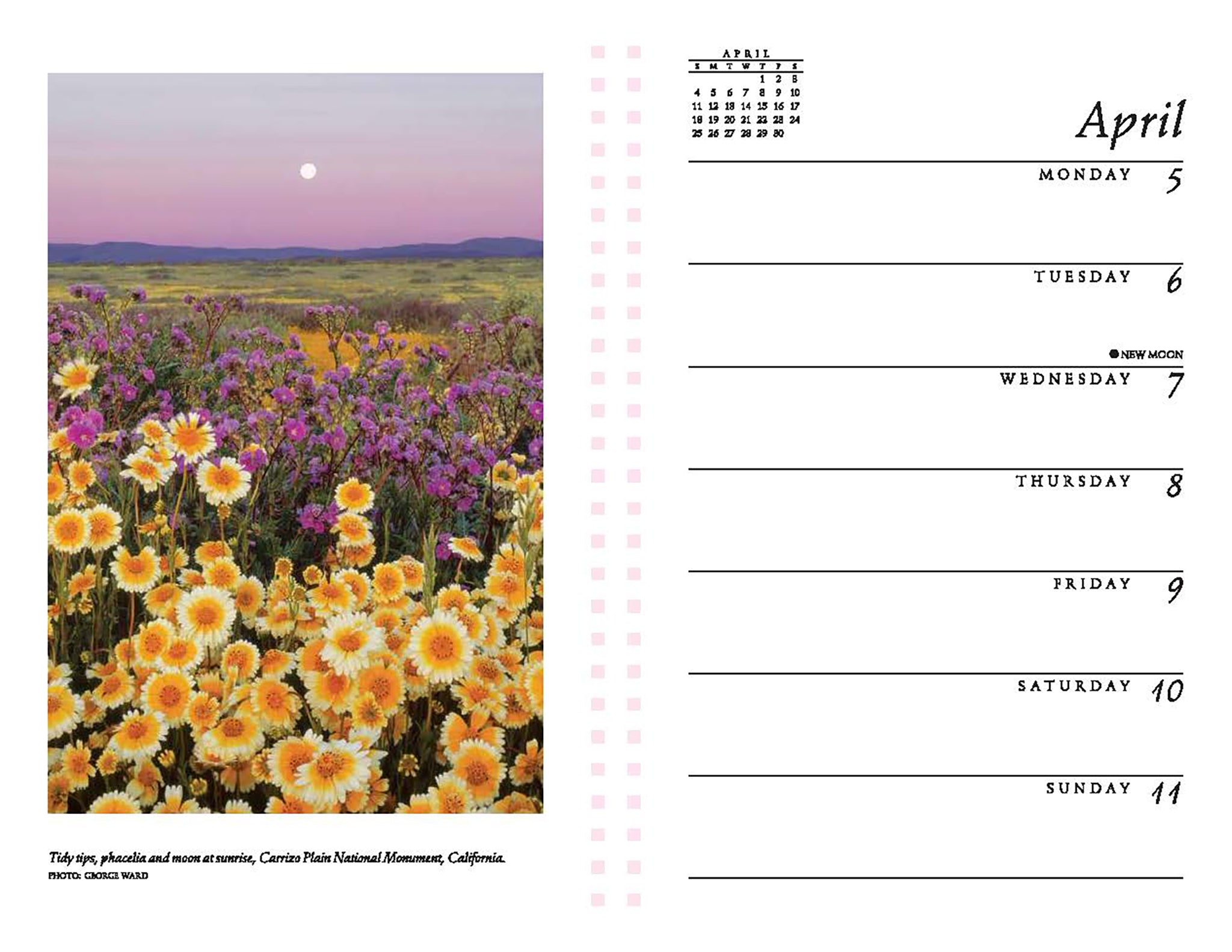 Sierra Club 2027 Engagement Calendar