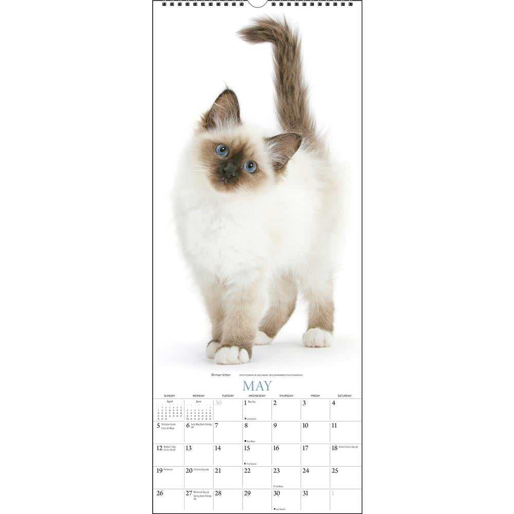 Cats 2024 Poster Calendar