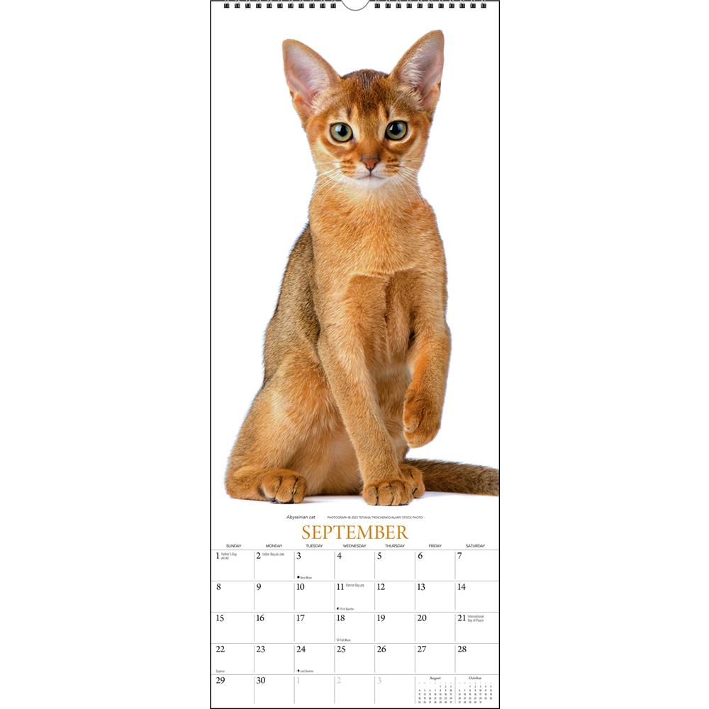 Cats 2024 Poster Calendar