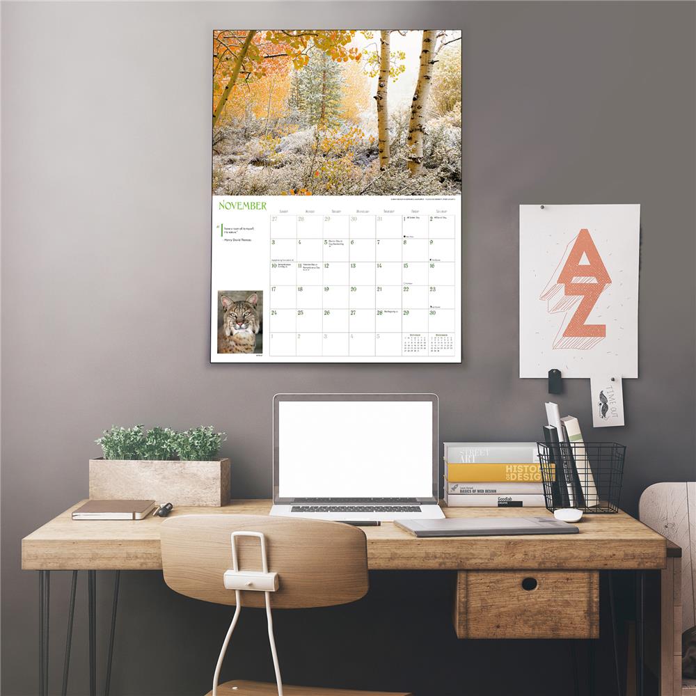 Into the Woods 2024 Oversized Wall Calendar