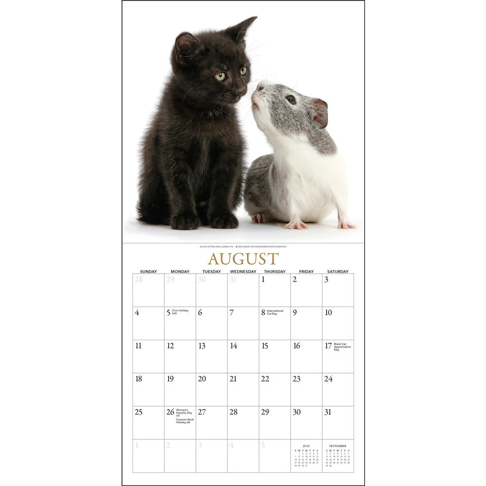Kittens and Friends 2024 Mini Calendar