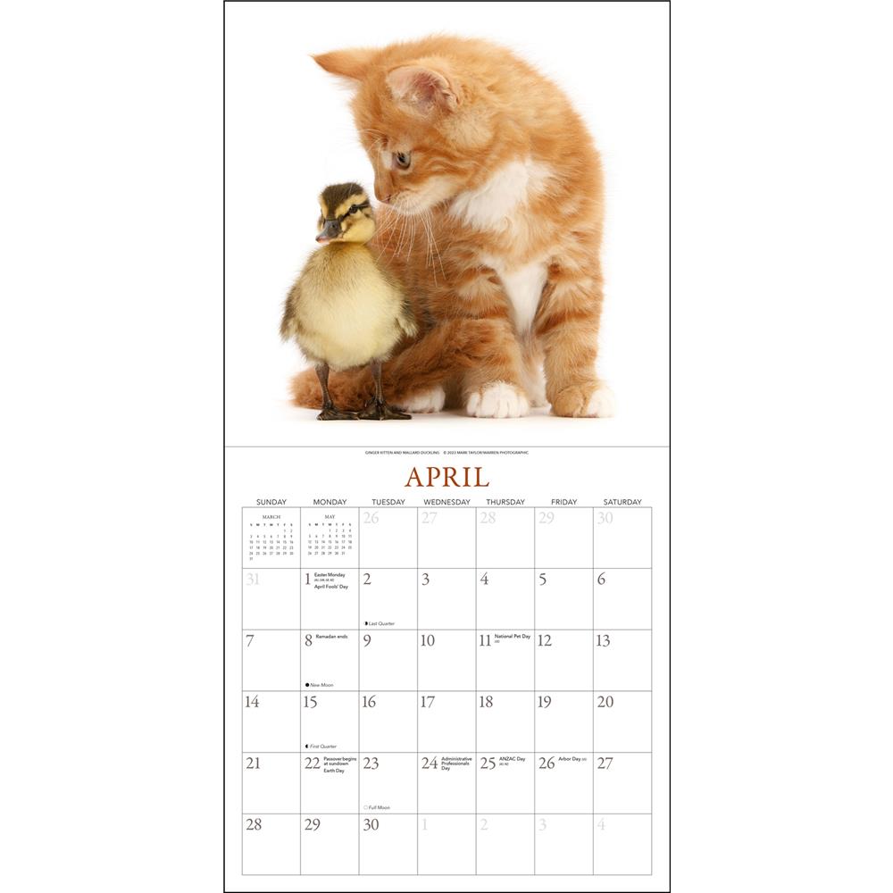 Kittens and Friends 2024 Wall Calendar