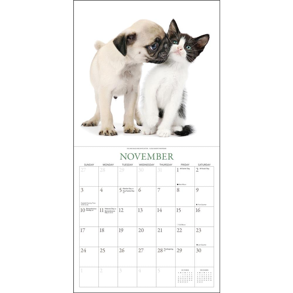 Pugs and Friends 2024 Wall Calendar