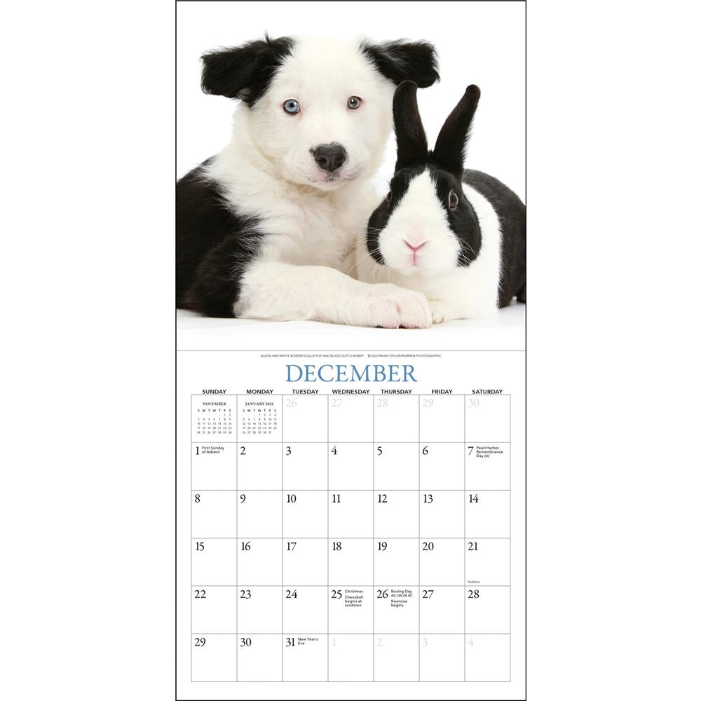 Puppies and Friends 2024 Mini Calendar