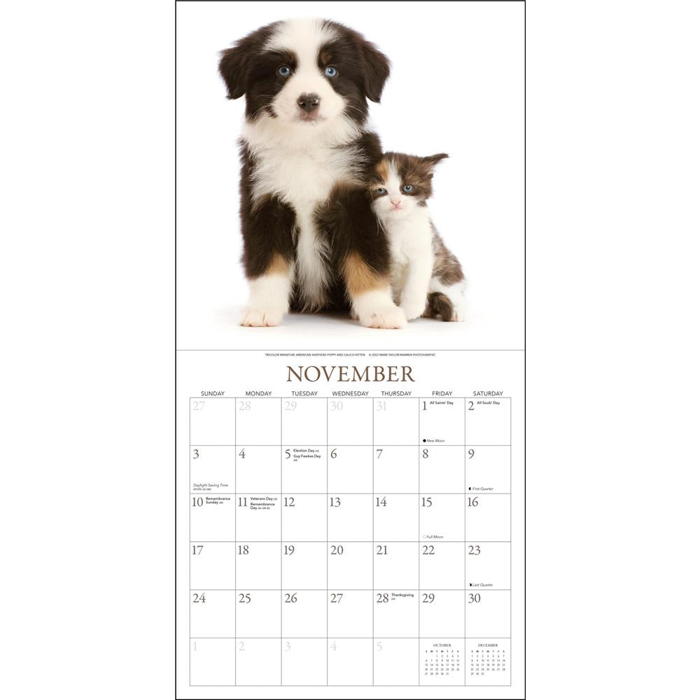 Puppies and Friends 2024 Wall Calendar