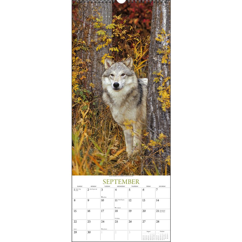 Wolves 2024 Poster Calendar