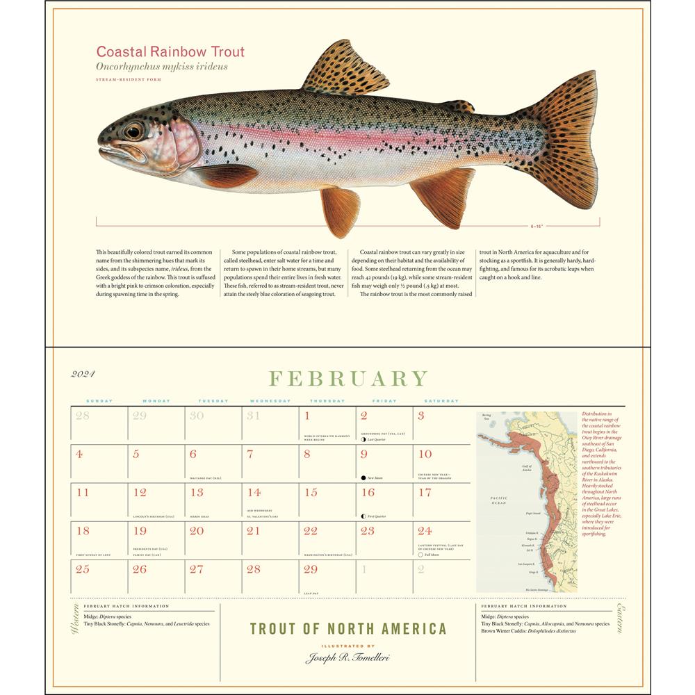 Trout of North America 2024 Wall Calendar product Image