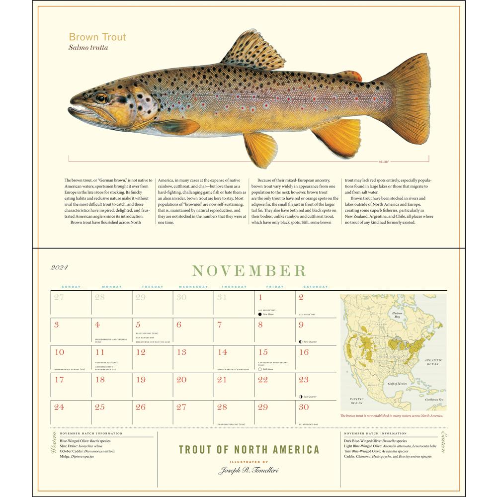 Trout of North America 2024 Wall Calendar product Image
