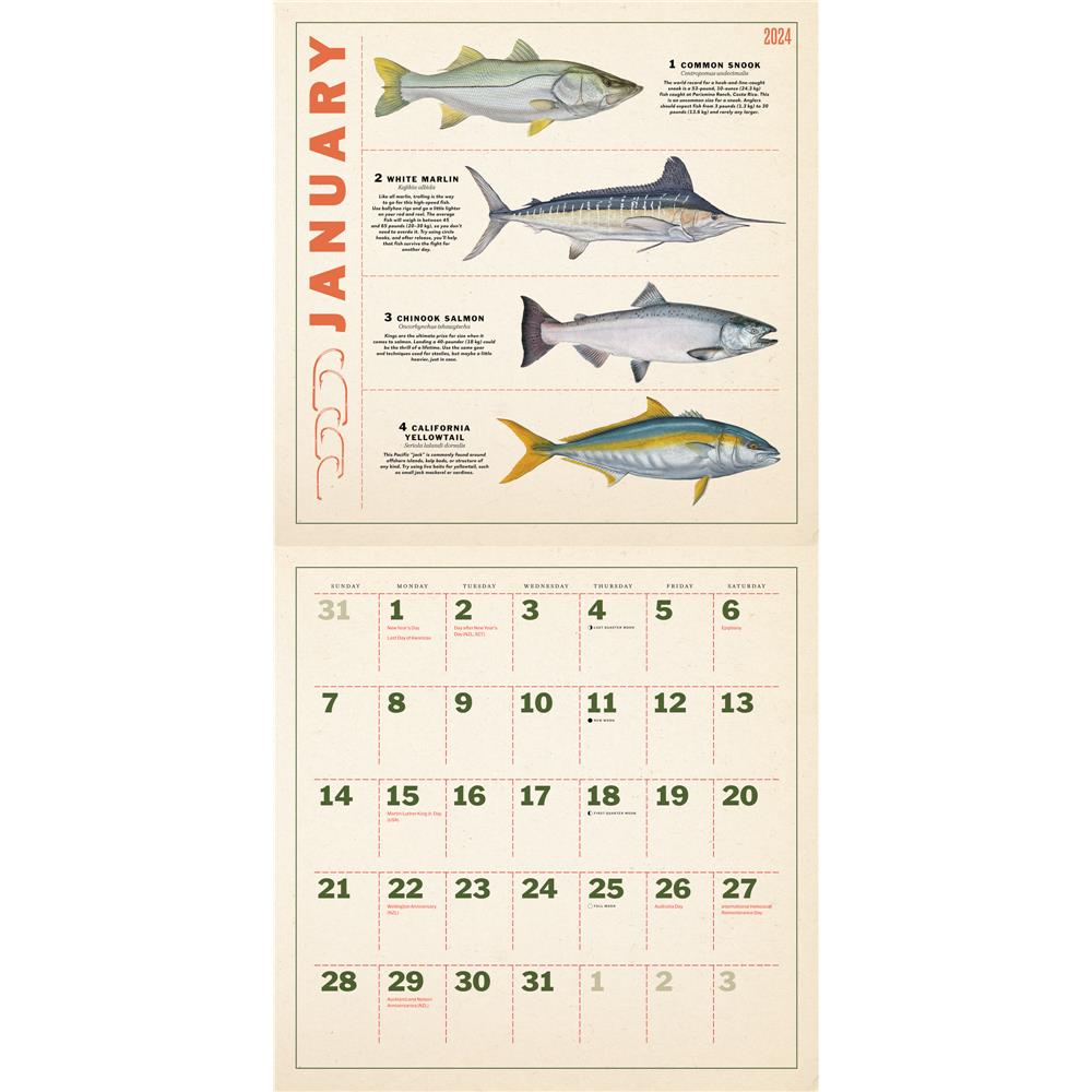 Twelve Months of Fishing 2024 Wall Calendar product Image