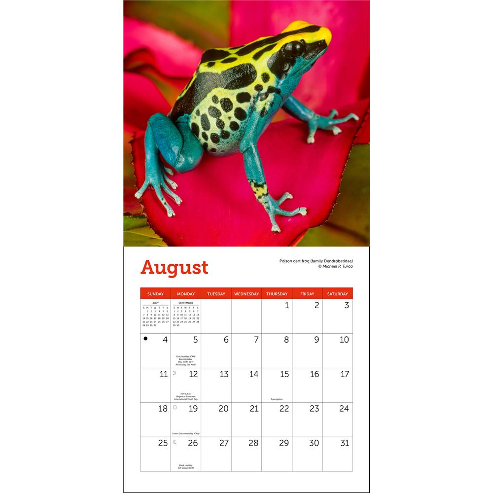 Frogs 2024 Mini Calendar