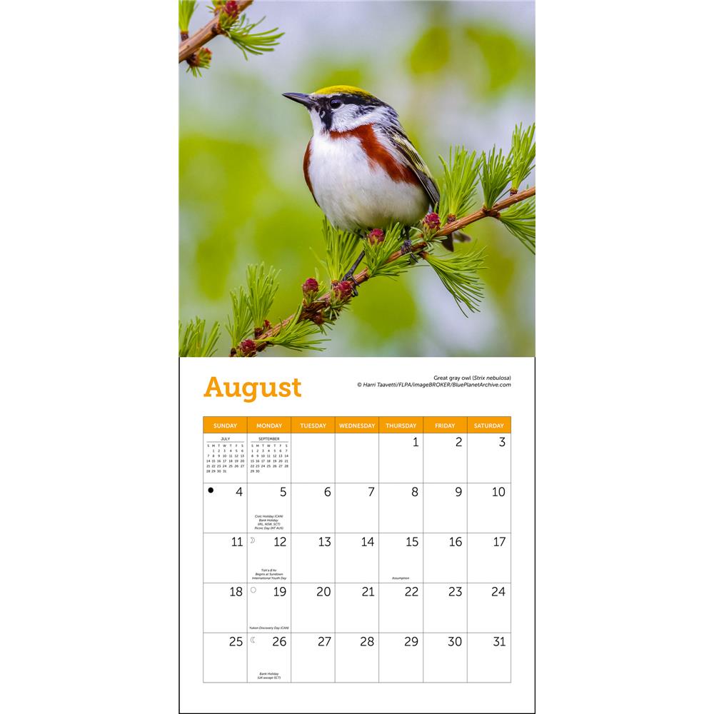 Songbirds 2024 Mini Calendar
