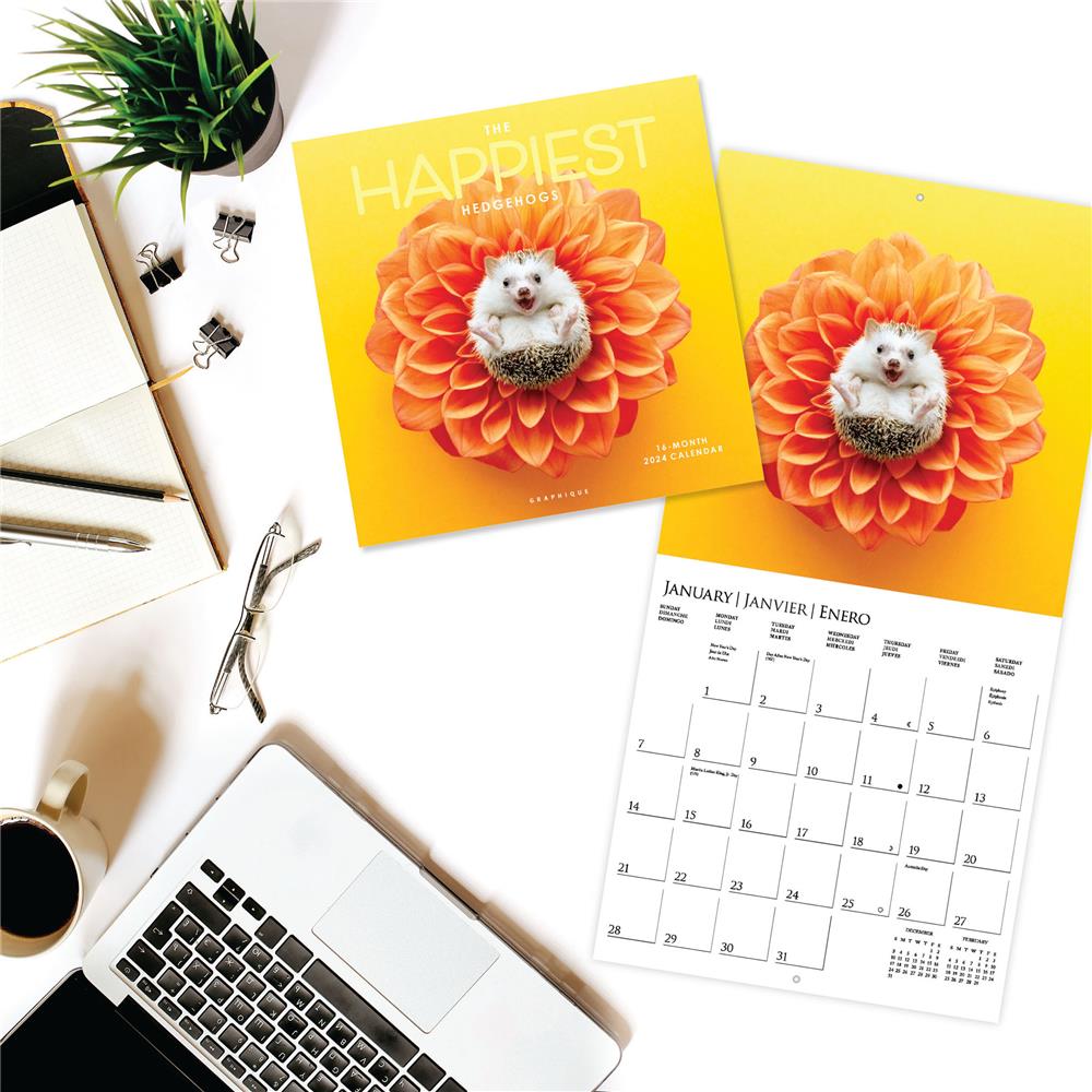 Happiest Hedgehogs 2024 Wall Calendar product image