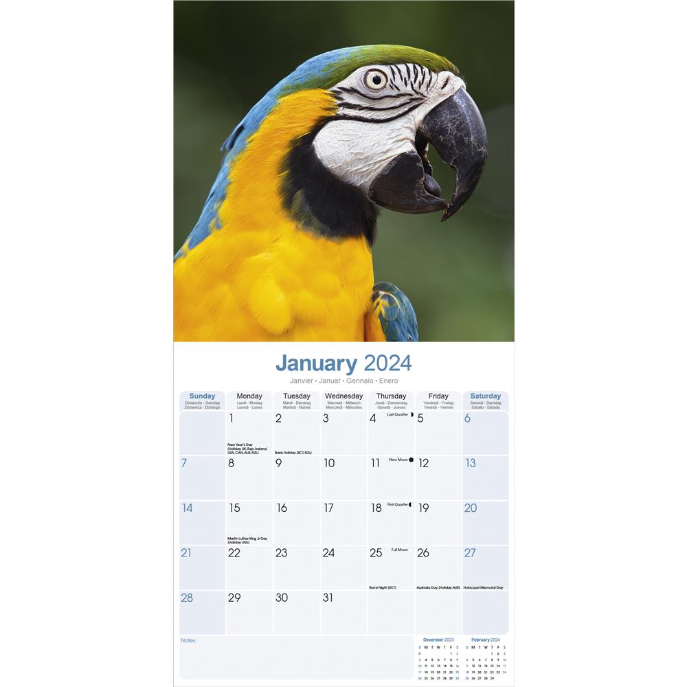 Macaws 2024 Wall Calendar product image